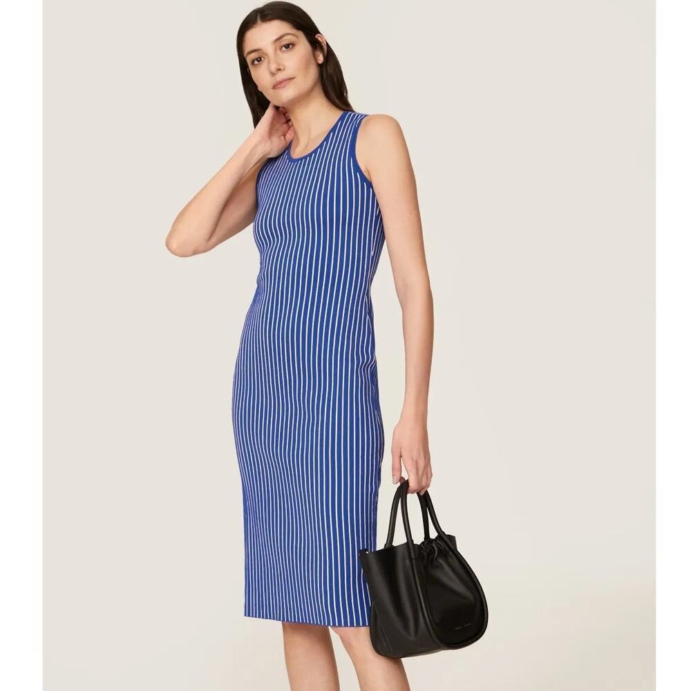Jason Wu Striped Knit Dress Sleeveless Crew Neck Midi Sheath Blue & White Medium